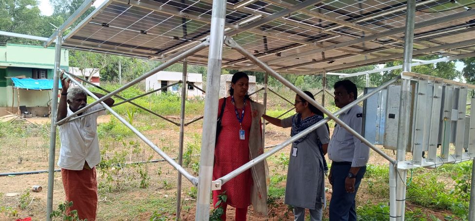 NMCT staff and a farmer beside a solar panel array installed for irrigation