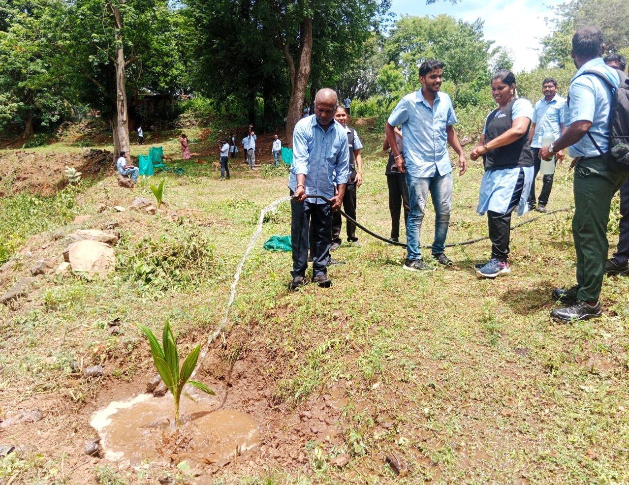 Volunteers watering newly planted saplings at an NMCT plantation site